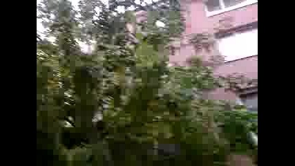 Търсене на катерица