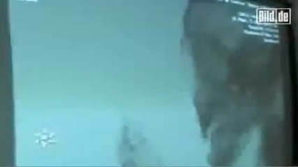 В Мексике убили инопланетянина - 27 Августа 2009 
