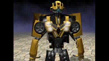 Bumblebee Transformer