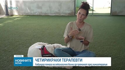 Лабрадор помага на онкологично болни в Гърция да преминат през химиотерапия