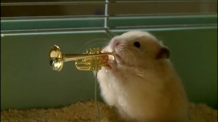 Drench Clever Hamsters Christmas song - Official