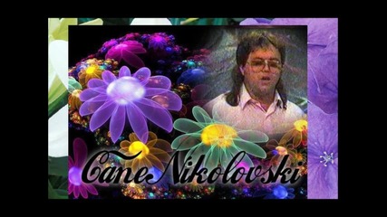 Cane Nikolovski - Niknalo cveke shareno