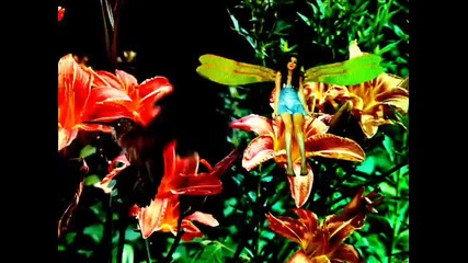 Secret Garden _ Adiemus