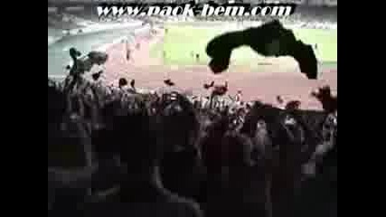 Paok Ultras