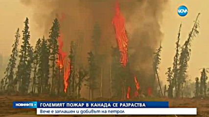 Горският пожар в Канада се разраства
