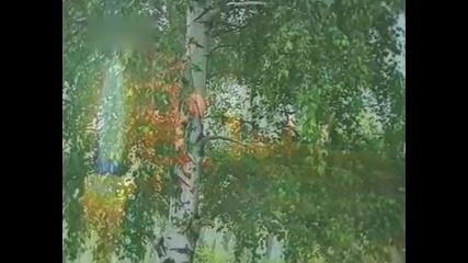 Сашо Роман-цвете мое