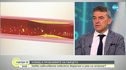 ВЕЛИКДЕН БЕЗ ОГРАНИЧЕНИЯ: Да очакваме ли нов скок на заразени с COVID