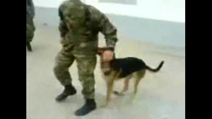 На тоя му излезе късмета