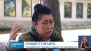 Трима работници пострадаха, след като клон падна върху тях във Варна