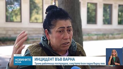 Трима работници пострадаха, след като клон падна върху тях във Варна