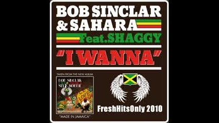 Bob Sinclar Sahara ft. Shaggy - I Wanna Radio Edit 2010