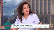 Цветанка Андреева: Решението на кризата със зърнопроизводителите е в омиротворяване на обстановката