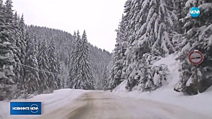 Новините на NOVA (12.02.2018 - следобедна емисия)