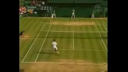 The King Of Grass
