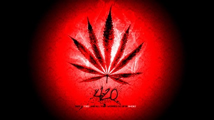 Loco Sunshine