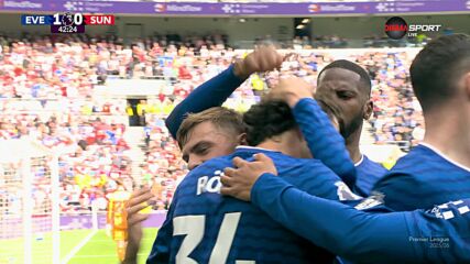 Everton vs. Sunderland - 1st Half Highlights