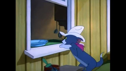 Tom & Jerry - Posse Cat 