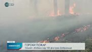 Пожар обхвана 100 дка гора край Добринище