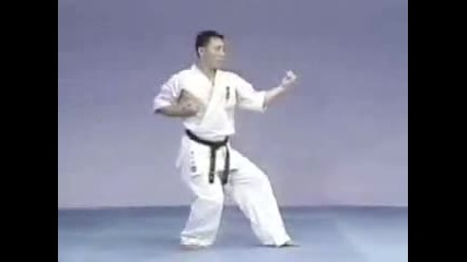 Pinan sono San Kyokushin kata
