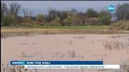 Земеделието и реколтата под заплаха заради наводненията