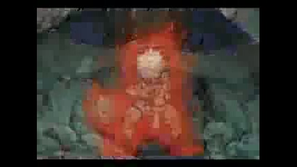 www.video75.com - 11 24 29