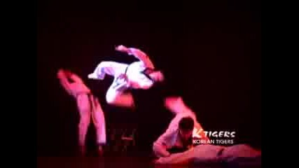 Korean Tigers - taekwondo