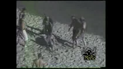 Beach Fight