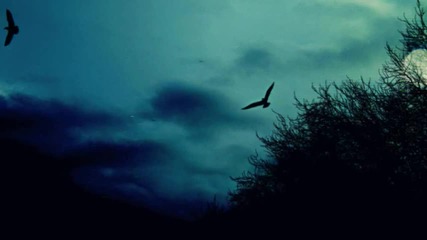 Endless Melancholy - You Are The Moonlight