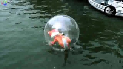 Смях Човек в балон в река в Амстердам 