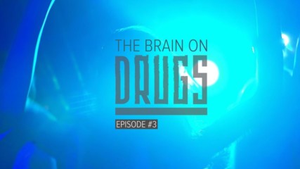 The Brain on Drugs: Speed