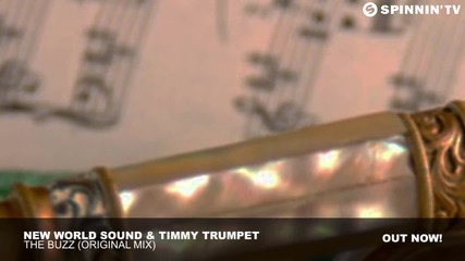 New World Sound & Timmy Trumpet - The Buzz ( Original Mix )