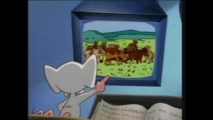 pinky and the brain - Yes, Always 