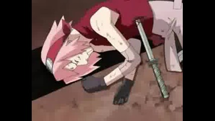 Sakura Shippuuden