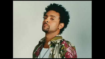 Shaggy - Holla At You