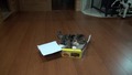 Котето Мару и многото кутии ..