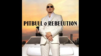 Pitbull Feat. Akon - Shut It Down