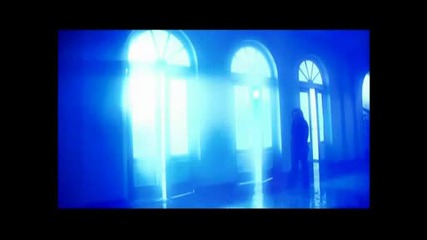 Шик - Просто те обичам