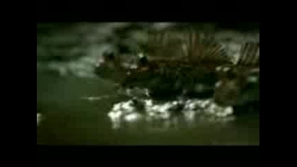 Guinness Commercial