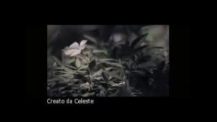 Richard Marx- -one More Time- music -music videos- lyrics -song lyrics- -song video
