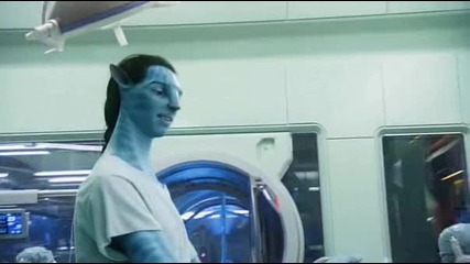 First day in avatars body 