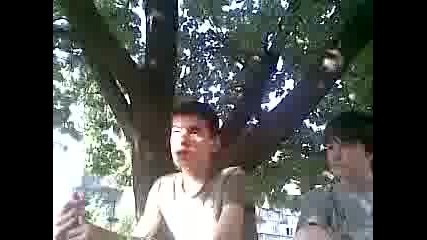 Преговори със Султана ..