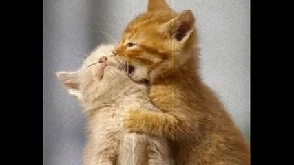 I L0ve U 
