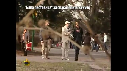 Бяла Лястовица за спасителите на куче - Господари на ефира 17.02.2014
