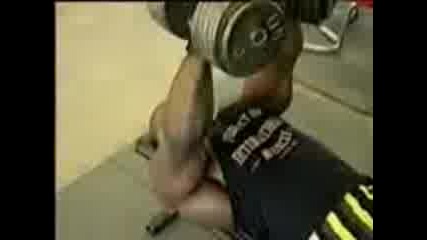 Ronnie Coleman ( motivation )