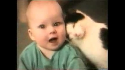 lydi i sme6ni kotki :d 