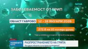 Новините на NOVA (19.01.2026 - обедна емисия)