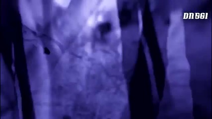 Nicki Minaj ft. Drake, Chris Brown & Lil Wayne - Only ( Official Video)