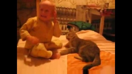 Бебе срещу коте