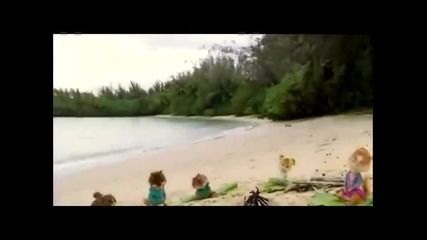 survivor 4 opening