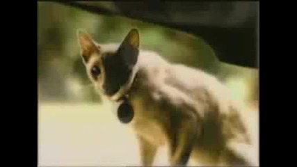 Charmed Season 5 Opening Credits